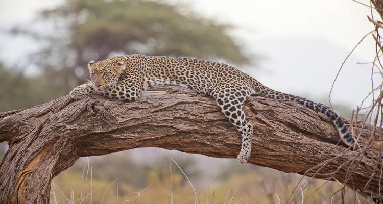 2 DAY HELL'S GATE NAIVASHA AND LAKE  NAKURU SAFARI - Bencia Africa Adventure and Safaris 4
