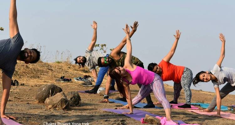 Cours de yoga en plein air avec des participants sur des tapis en train de s'étirer.