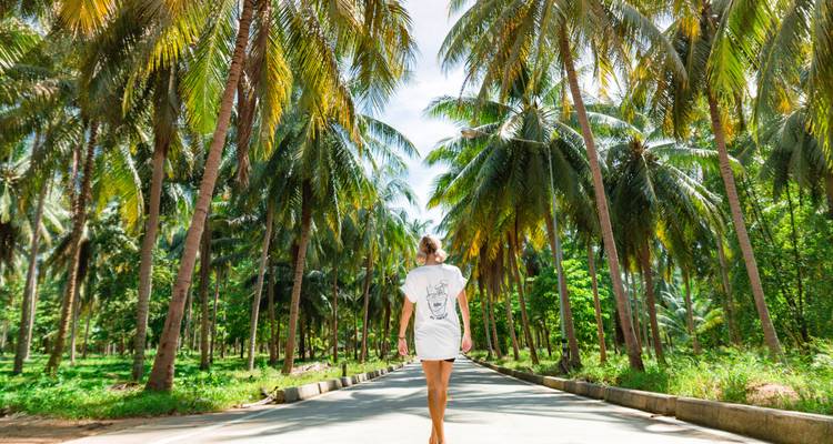 Una mujer caminando por un sendero bordeado de palmeras altas.