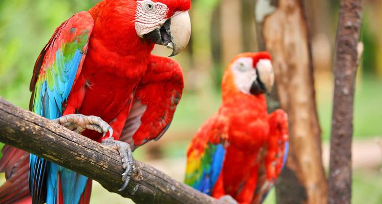 Costa Rica Family Holiday - Intrepid Travel 5
