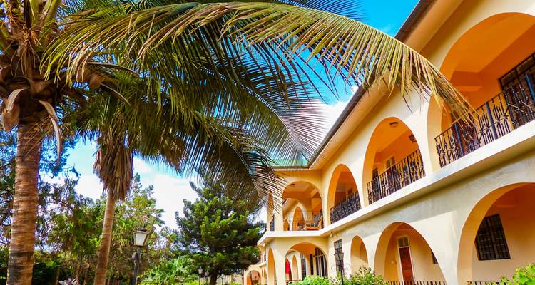 Escalada Kilimanjaro - Machame 7 Días + Termas de Chemka Gratis | Guías Expertos y Eco-Certificados - World Adventure Tours 10
