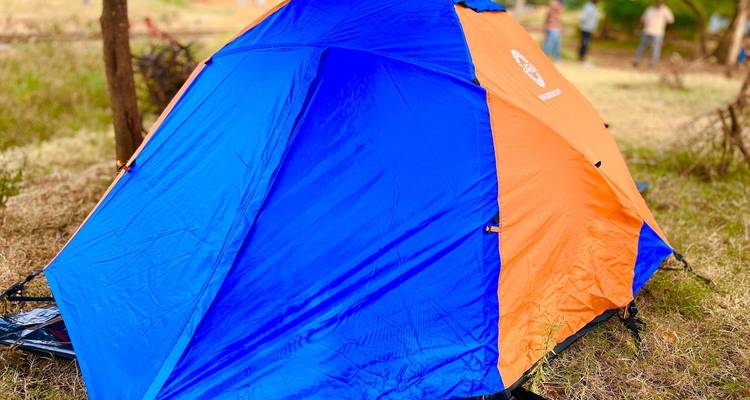 Escalada Kilimanjaro - Machame 7 Días + Termas de Chemka Gratis | Guías Expertos y Eco-Certificados - World Adventure Tours 6