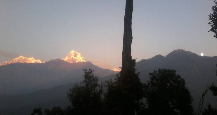 Bergtoppen bij zonsopgang met boomsilhouetten.