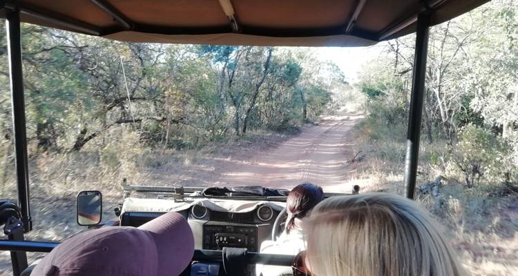 3 jours - Conservation de la nature d'Entabeni - Timeline Travel DMC 3