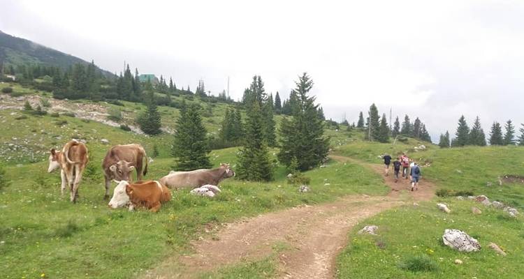 Le meilleur de Zabljak en 3 jours - Balkanica Travel 2