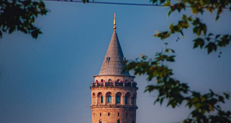Vista de una torre con una aguja, rodeada de hojas.