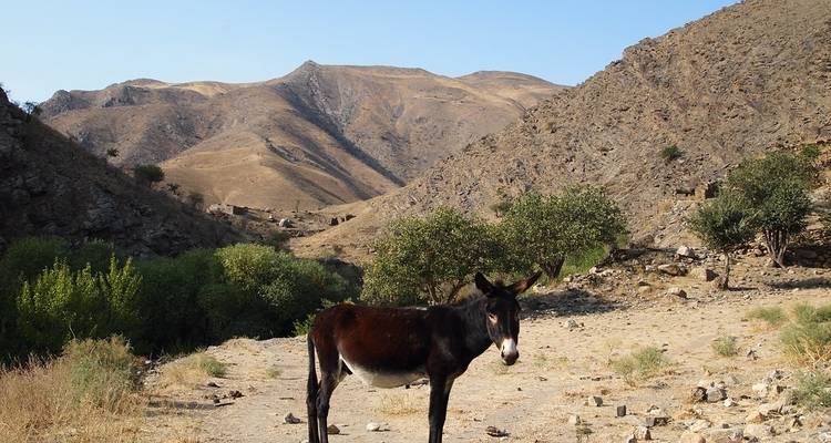 Excursión por pueblos y senderismo en Uzbekistán - Steppe Journeys 2