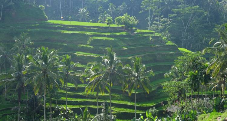 Bali Highlight Tours - Putu Bali Driver 8