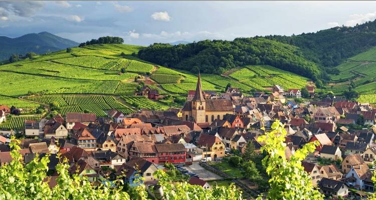 7 Days All Inclusive in Alsace Authentic Luxury Gourmet Tour - My French Voyage 6