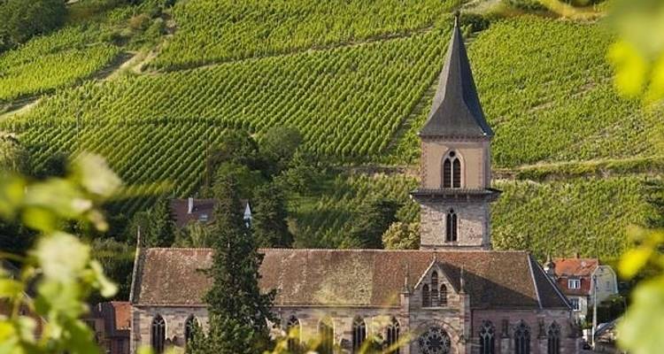 7 Days All Inclusive in Alsace Authentic Luxury Gourmet Tour - My French Voyage 10