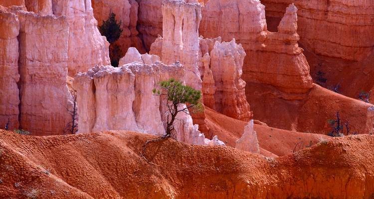 Western Deserts – 3 days - Amadeo 4