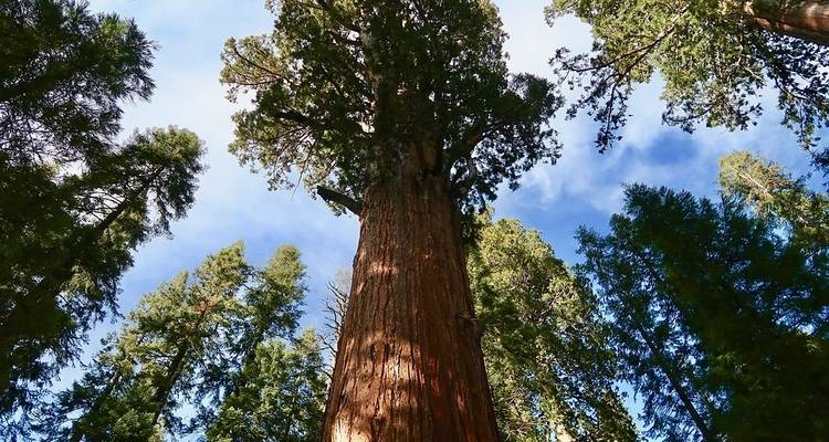 Viajes: Parques Nacionales del Oeste de EE.UU. Viajes de National Geographic - National Geographic Journeys with G Adventures 6
