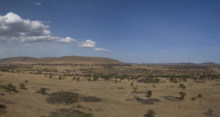 Safari de 11 jours en Afrique de l'Est - Holiday Destination Safaris 3