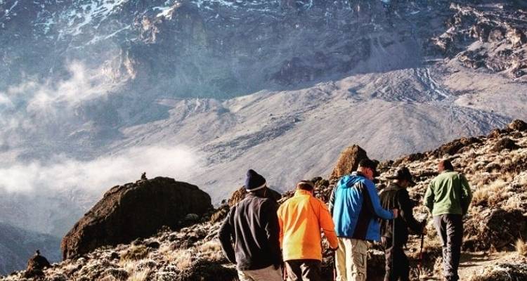 7 días Kilimanjaro Ruta Machame (desafío físico) - African Polecat Safaris 1