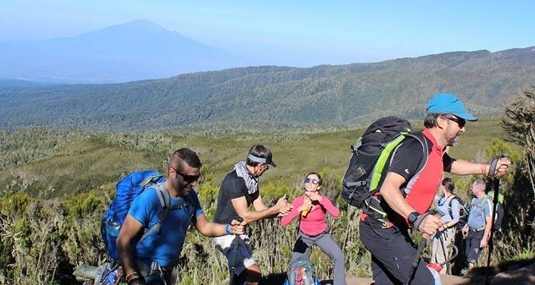 7 días Kilimanjaro Ruta Machame (desafío físico) - African Polecat Safaris 6