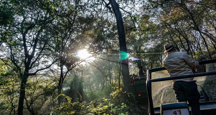 8 jours d'excursion privée dans le Triangle d'Or avec les tigres au départ de New Delhi - Turban Adventures 10