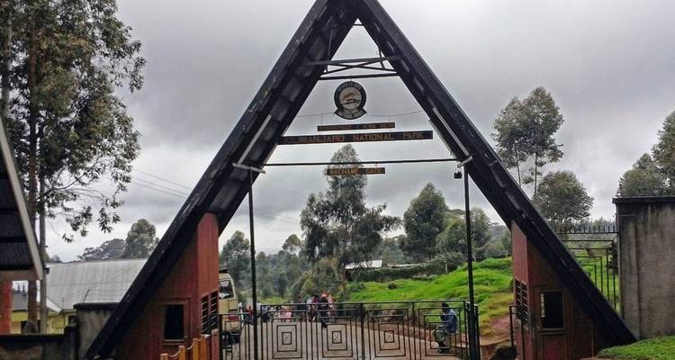 Mount Kilimanjaro day hike tour - Afrishare Trekking And Safaris 8