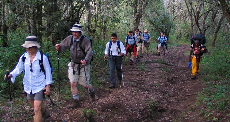 8 jours d'ascension du Kilimandjaro par la route de Lemosho - Hazzes Adventure 4