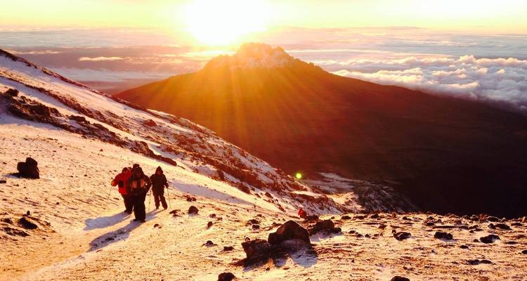 8 jours d'ascension du Kilimandjaro par la route de Lemosho - Hazzes Adventure 7