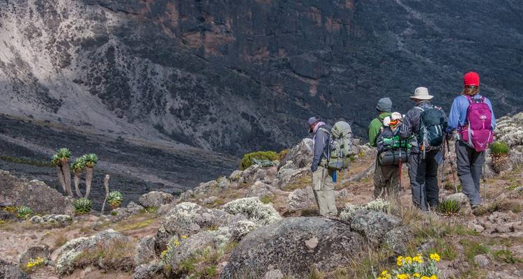 8 jours d'ascension du Kilimandjaro par la route de Lemosho - Hazzes Adventure 3