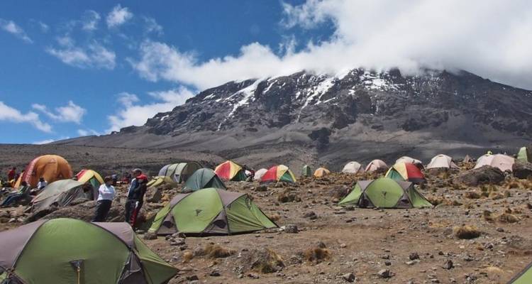 8 jours d'ascension du Kilimandjaro par la route de Lemosho - Hazzes Adventure 6
