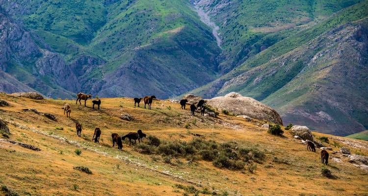 Central Asia Tour 16 Days, Start in Almaty - Steppe Journeys 6