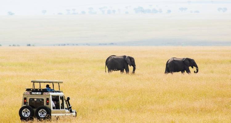 6 Days Tanzania  Lodge Safari. - Hazzes Adventure 6
