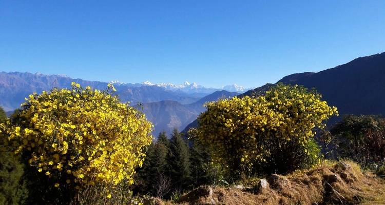 1 Day Kathmandu Hiking - All Nepal Hiking (P) ltd 10