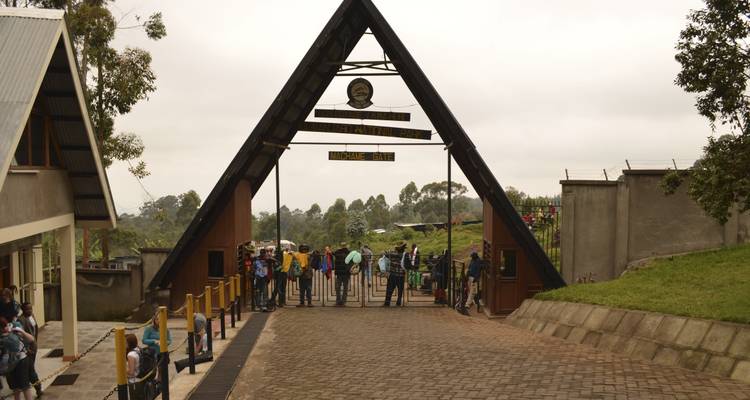 5 jours de Trek sur le Kilimandjaro - Route de Marangu - Afrishare Trekking And Safaris 2