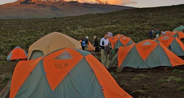 5 jours de Trek sur le Kilimandjaro - Route de Marangu - Afrishare Trekking And Safaris 6