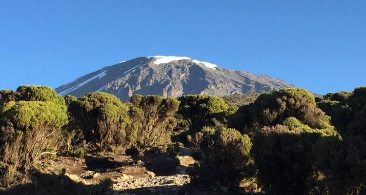 Day trip in Kilimanjaro National Park Tanzania - Africa Outland Safaris 6