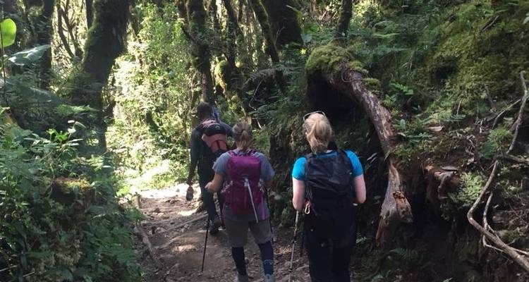 Day trip in Kilimanjaro National Park Tanzania - Africa Outland Safaris 9