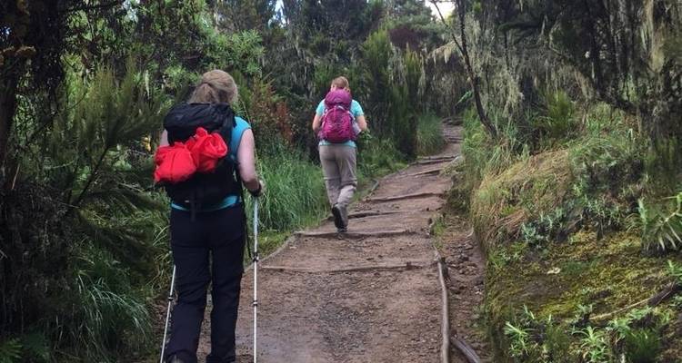 Day trip in Kilimanjaro National Park Tanzania - Africa Outland Safaris 1