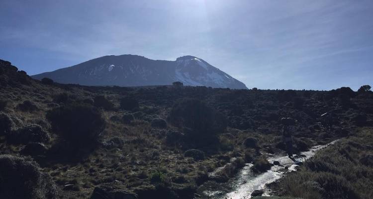 Day trip in Kilimanjaro National Park Tanzania - Africa Outland Safaris 2