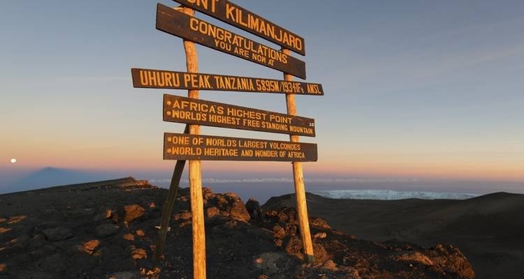 8 Day Kilimanjaro Trekking Lemosho Route - Afrishare Trekking And Safaris 6