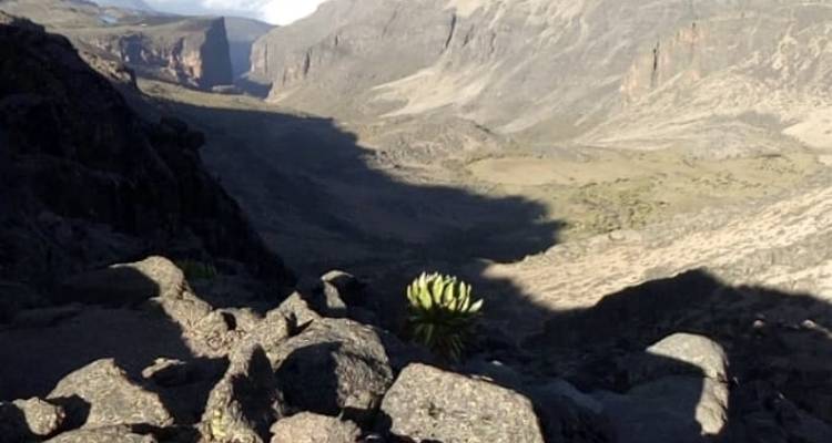 Trek de 6 jours au Mont Kenya : Aventure sur la route de Sirimon à Chogoria - Pam Tours and Travel  6