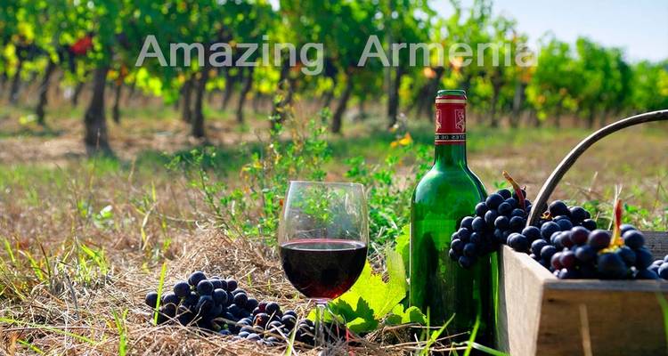 A vineyard with a bottle of wine and grapes, text overlayed.