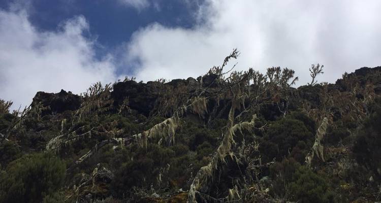Rocky hillside with vegetation.