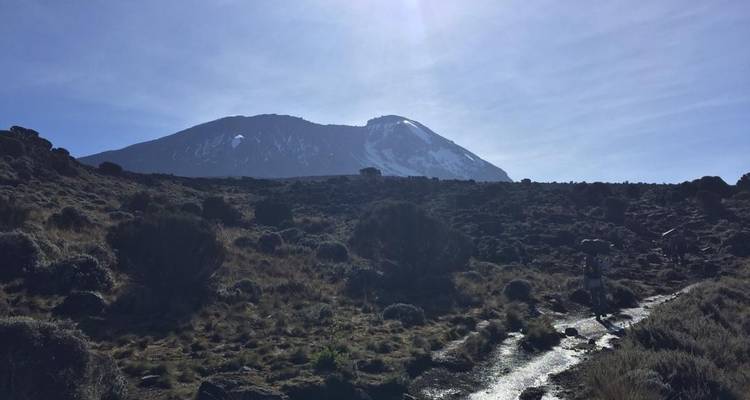 Hiker walking along a path with mountain in background.