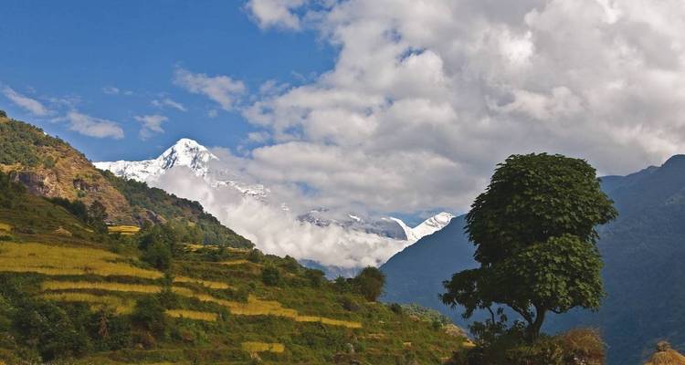 Circuit de l'Annapurna - All Nepal Hiking (P) ltd 8