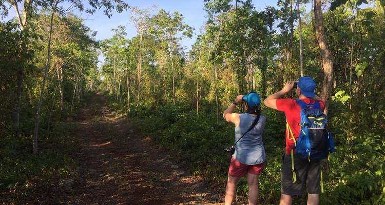 Two people bird watching in a forest clearing.