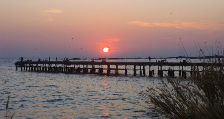 Kochi to Goa - The Malabar Coast: A Scenic Odyssey - Agora Voyages OPC Pvt Ltd 7