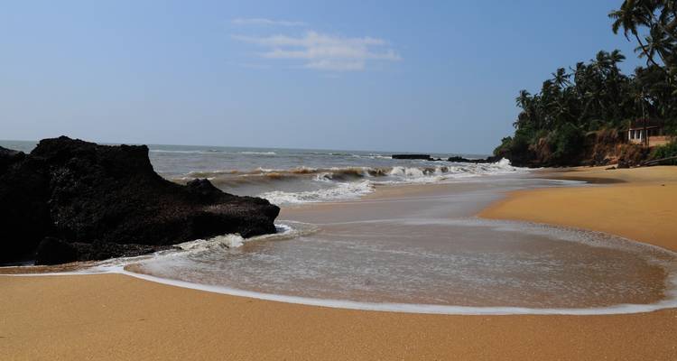 Kochi to Goa - The Malabar Coast: A Scenic Odyssey - Agora Voyages OPC Pvt Ltd 8