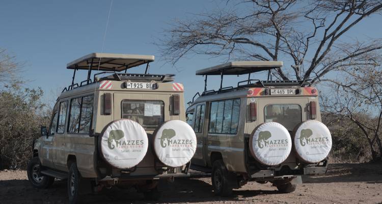 Tanzanie Serengeti Migration des gnous Safari - Hazzes Adventure 9