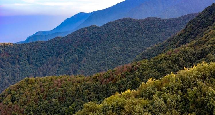 Bebossste heuvels met verre bergen op de achtergrond.