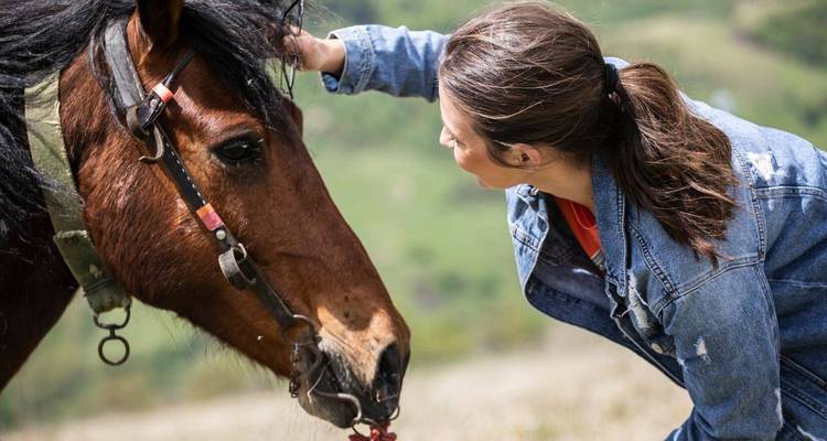 Familiale, équitation et safari en jeep Monténégro - Balkanica Travel 7