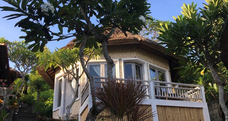 7 Day 6 Night Open Water PADI Scuba Dive Course in Nusa Lembongan - Mojosurf Indonesia 6