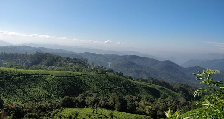 Golden Triangle & Kerala - 8 Days - Turban Adventures 7