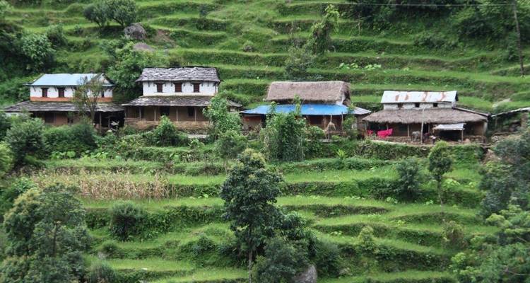 Annapurna Family Hiking Tour - 9 Days - Oriental Journeys Pvt. Ltd. 9
