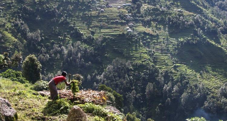 Circuit de Trek en famille dans l'Annapurna - 9 jours - Oriental Journeys Pvt. Ltd. 10